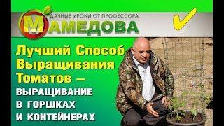  ЭТО Лучший Способ Выращивания Томатов - выращивание в горшках и контейнерах