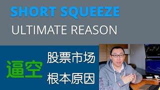 股票市场逼空的根本原因 | The Ultimate Reason for Stock Short Squeeze