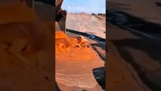 #constructionFails by @mikeorda