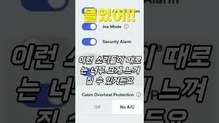 테슬라의 숨겨진 보석 기능! 조 모드가 뭔지 아세요?