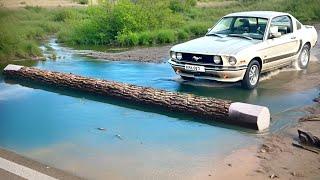 Car vs Fallen Tree & Deep Water Challenge in BeamNG Drive