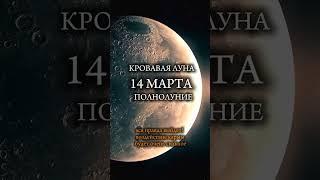14 МАРТА САМЫЙ МОЩНЫЙ ДЕНЬ ПОДПИШИСЬ #кроваваялуна #полнолуние #энергиялуны #космическаясила