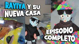  RAYITA y su NUEVA PECERA Episodio COMPLETO  #funny #rayita #viral #animales #beta #humor