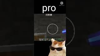 Minecraft noob vs pro vs hacker