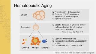 Drivers of Hematopoietic Stem Cell Aging with Jennifer Trowbridge - Sanford Stem Cell Symposium