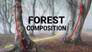 7 SIMPLE forest COMPOSITION tips to IMPROVE your photos