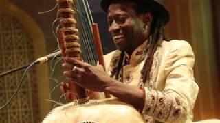 Remembering Solo Cissokho - Soul of World Music