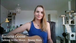 Banana Goose - Talking to the Moon (Bruno Mars)