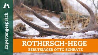 Rotwild | So hegt man reife Hirsche heran | König des Waldes | Jagd | Berufsjäger | Naturschutz