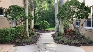 Gorgeous Palm Harbor Condo with Garage