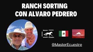 Ranch Sorting con Álvaro Pedrero