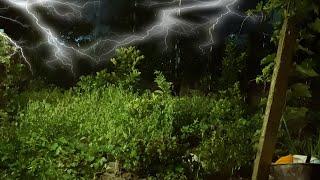 Pure Heavy Rain in Garden with Rumbling Thunder, Lightning, Distant Thunder & Rain Sounds for Sleep