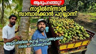 നാട്ടിൽനിന്ന് കാശുണ്ടാക്കാൻ പറ്റില്ലെന്ന് ആരുപറഞ്ഞു? Real Life Stories from Attappadi - Ashraf Excel