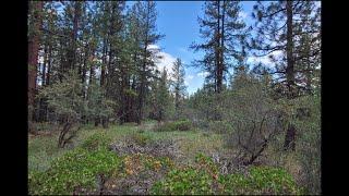 Land For Sale, Klamath, OR: 2.27-Acre Partially Fenced Wooded Lot With Good Access & Power Nearby !!