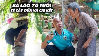 BÀ LÃO 83 TUỔI LEO CÂY DỪA MƯU SINH, TÉ TỪ CÂY DỪA XUỐNG…