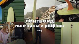 VLOG 5: Лонгборд, пингвины и potjikos