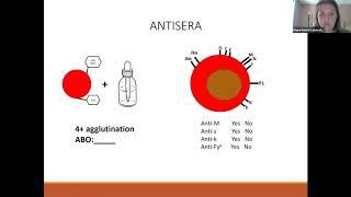 BloodBank Lecture 43 Final Exam Review 2020