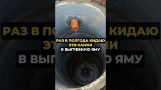Раз в полгода кидаю эти камни в выгребную яму #огород #дача #сад