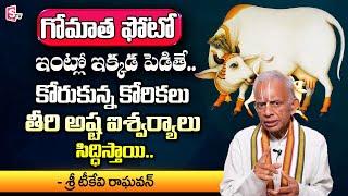 Gomatha Benefits In Telugu By Sri TKV Raghavan | Dharmasandehalu | SumanTv Devotional