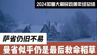 2024加拿大移民政策年终总结 - 萨省全是雇主担保，曼省还有找到工作就行的项目