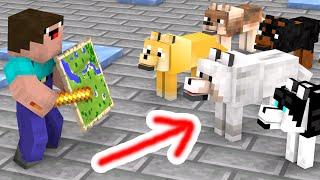 A Dog's Adventure - Minecraft Animation