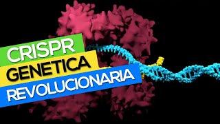 CRISPR o Cómo la genética lo cambiará todo 