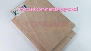 2024 eoncred commercial plywood- Factory Manufacturer