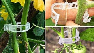 Garden Plant Support Clips Tomato Clips