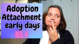 No. 4 practical attachment series | early adoption days | starting the  journey