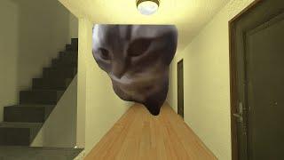 Chipi Chipi Chapa Chapa Cat Nextbot Gmod