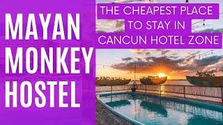 Mayan Monkey Hostel - great cheap hotel to stay in Cancun hotel zone with a pool on a budget