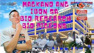 TUKLASin presyo ng kalapati sa BIO PIGEONS | Young Bird | Yearlings | Breeders | Foundation Cock