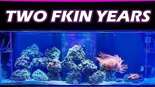 My Most Challenging Aquarium Journey in 25 years!