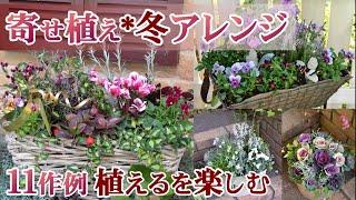 【寄せ植え特集*冬】冬の植物をより楽しむ１１のアイデア/植物選びのワンポイント/クリスマス寄せ植え＆ハボタン/ガーデニング