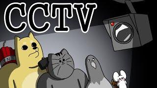 [짐승친구들] CCTV