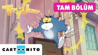 TOM VE JERRY #YENİ Çizgi Film | Yeni Arkadaş | @CartoonitoTurkiye