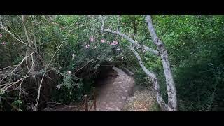 Baths of Aphrodite, botanical garden and grotto, Cyprus #cyprus #attraction #sightseeing #calming