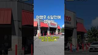  하와이 일상 | 하와이 계란 대란인가? #미국이민생활 #하와이일상 #코스코쇼핑 #하와이물가 #미국계란대란