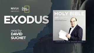 The Complete Holy Bible - NIVUK Audio Bible - 2 Exodus