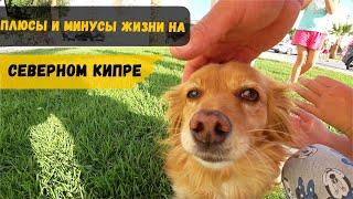 Плюсы и минусы жизни на Северном Кипре