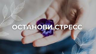 Остановить стресс / Медитация