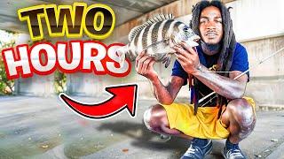 2 HOUR fishing CHALLENGE (how many can I catch?)