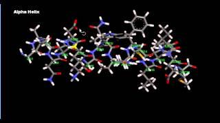 Basic Alpha Helix Beta Sheet Protein Structure