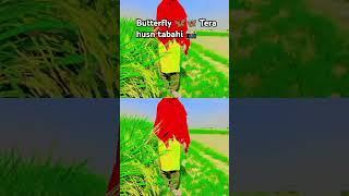 #video #main #kushwahajikabetahoongana #hindisong #comedy