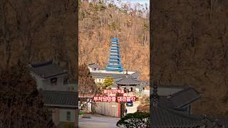 유투브불교대학 경주 감포 대관음사