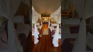 Kenya, Masai Mara, Intrepids Luxury Tented Camp #explore #travel #kenya #masaimara