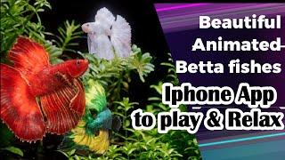 Betta Fish Animated Screensaver [Iphone App]