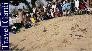 Punjabi commentary of Sapera in public gathering | snake charming | Travel Gardi | part 2