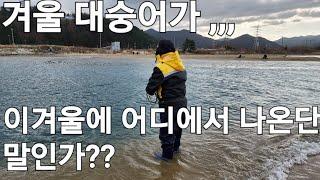 겨울바다 대숭어 투망 #cast #fishing #바다투망