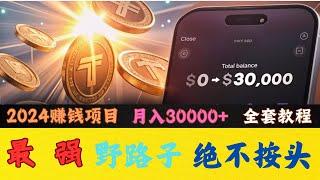 2024最新 网络赚钱，网赚 灰产 野路子 偏门 项目，教你每天网赚1000USDT 纯兼职副业（老鬼聊灰产）